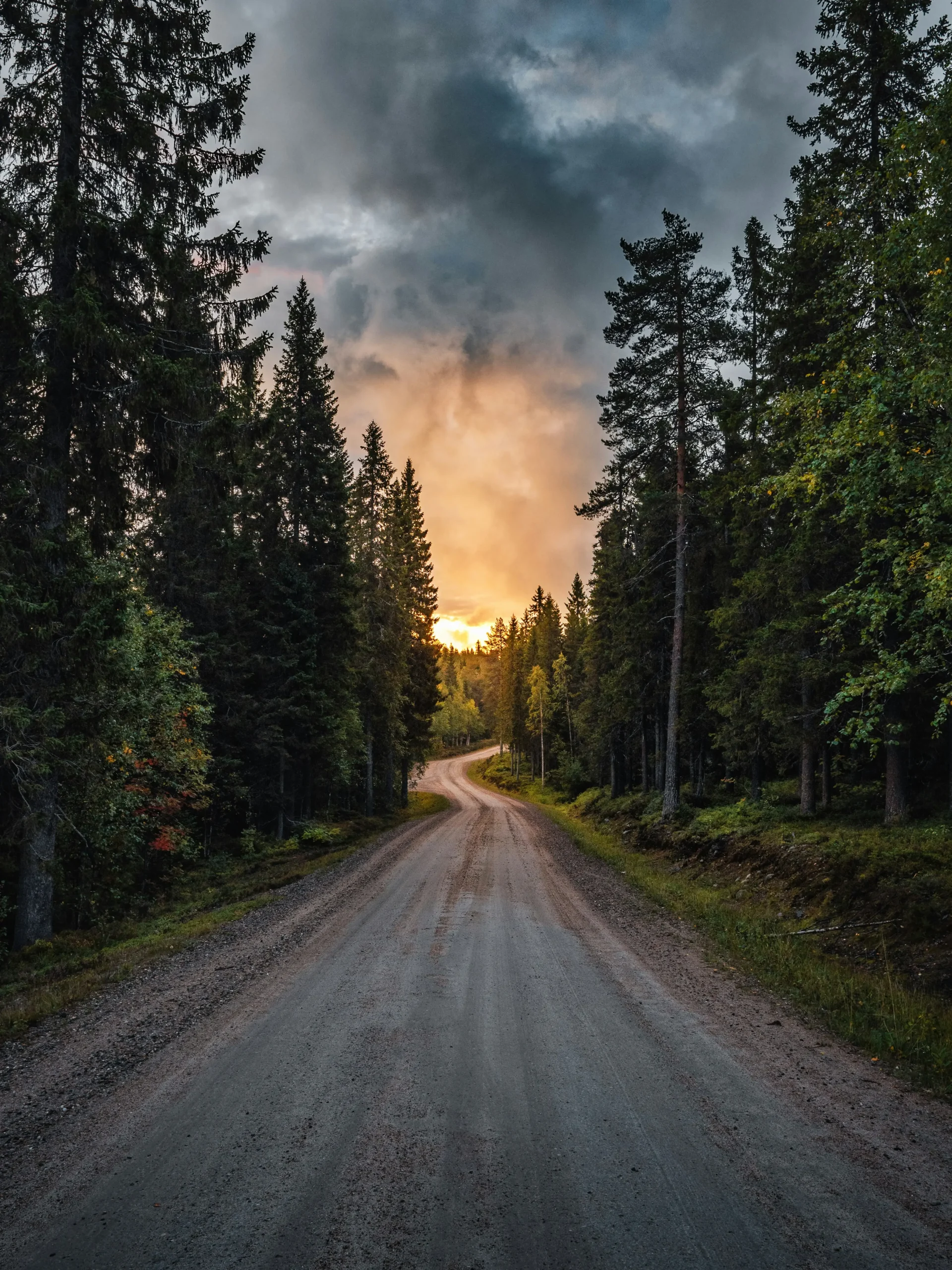 Accueil hannu hollstrom ydzom6 0a 0 unsplash